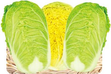 Golden Dawawa——Baby Chinese Cabbage Golden Dawawa——Baby Chinese Cabbage